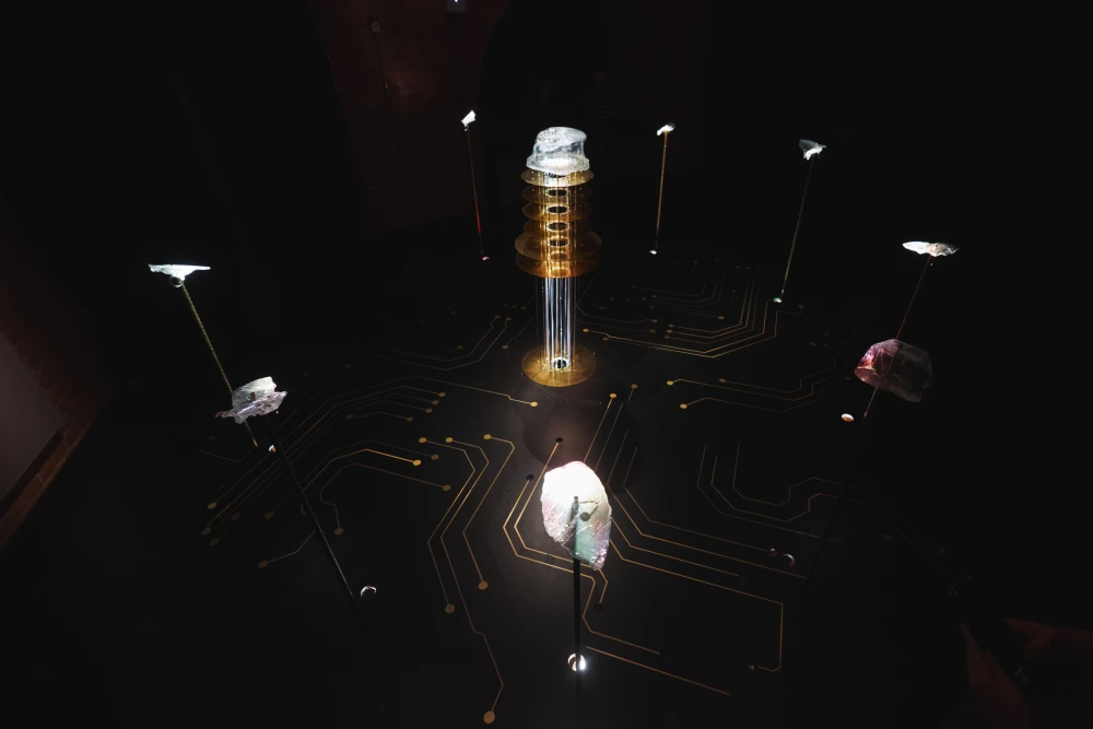 выставки спб фото