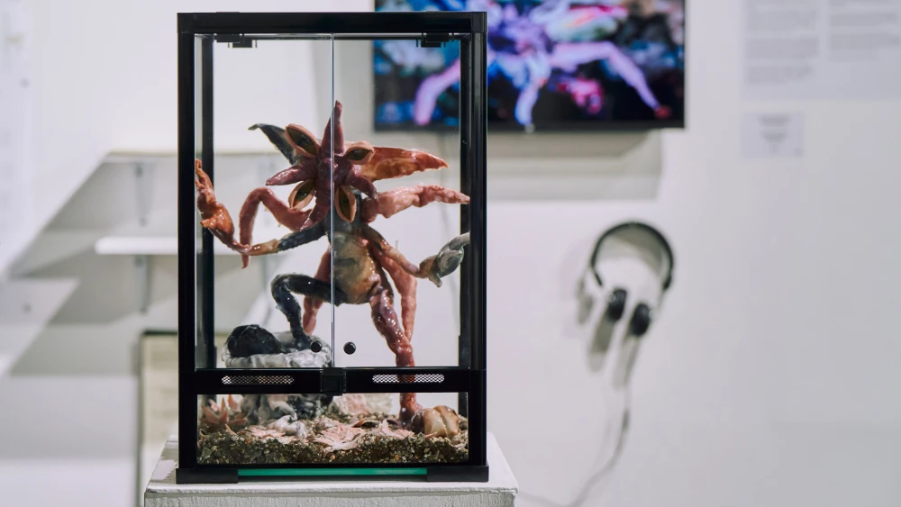 ярмарка СКАН фото