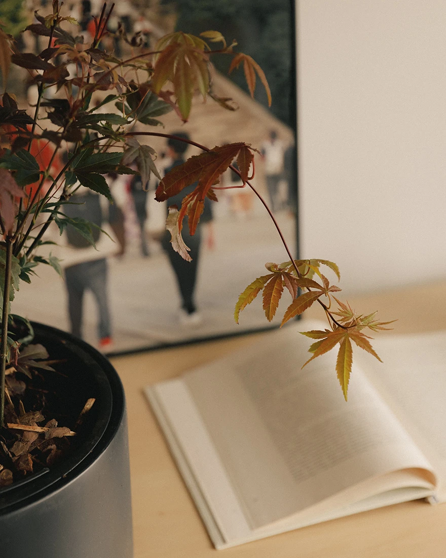 Минимализм в интерьере фото