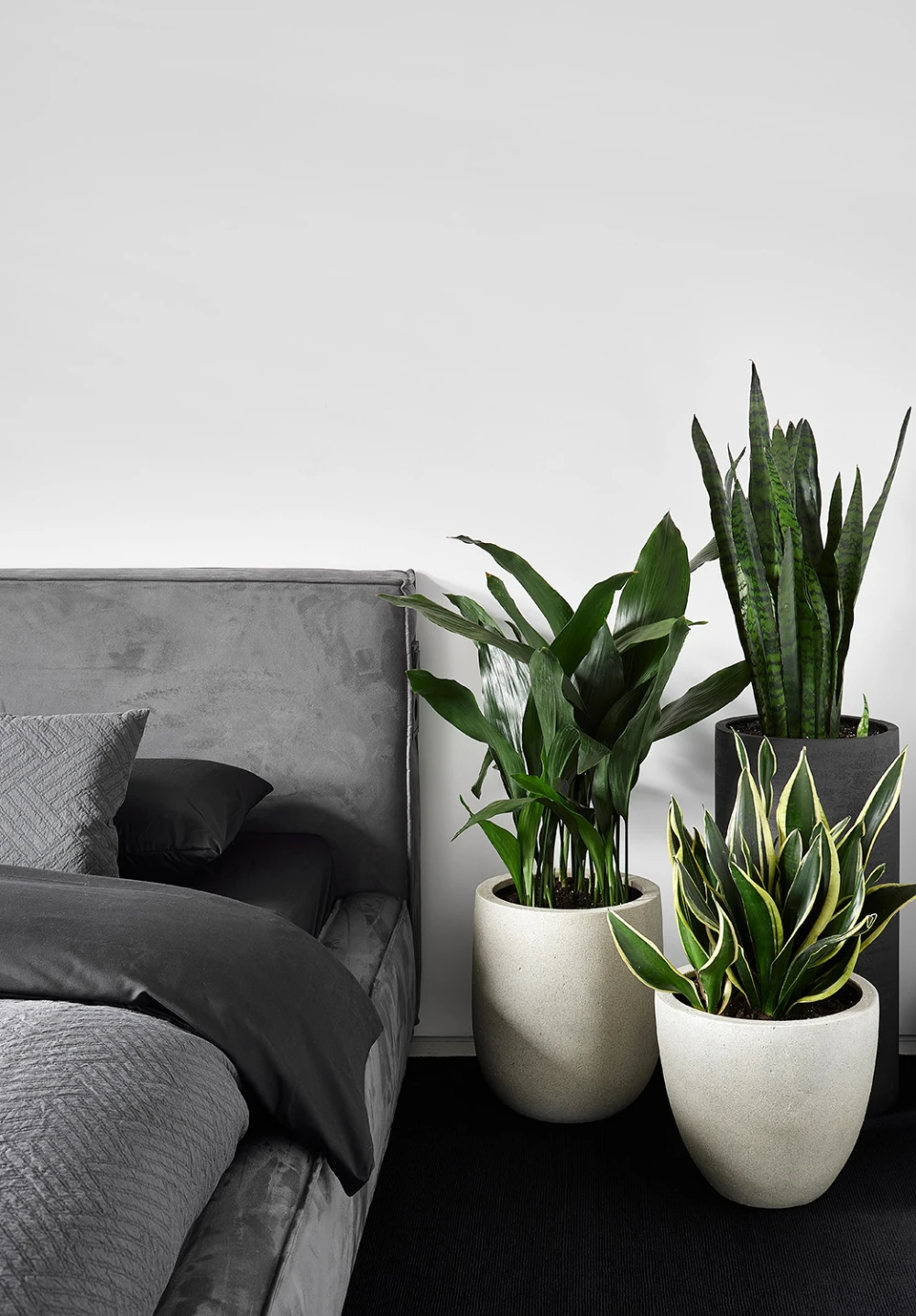 Загородный дом фото