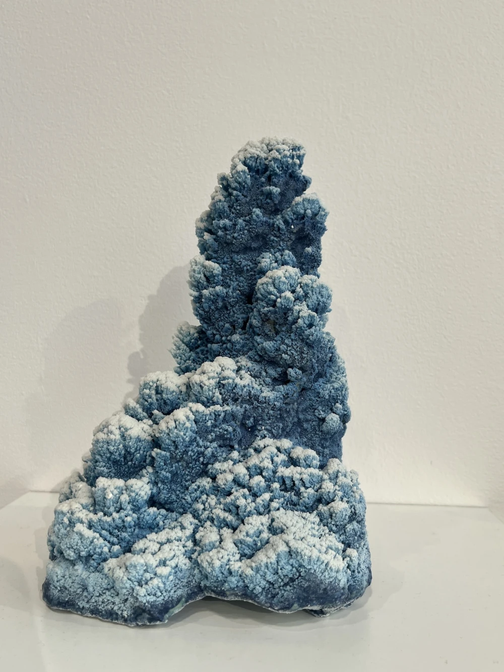 Ceramic Brussels фото