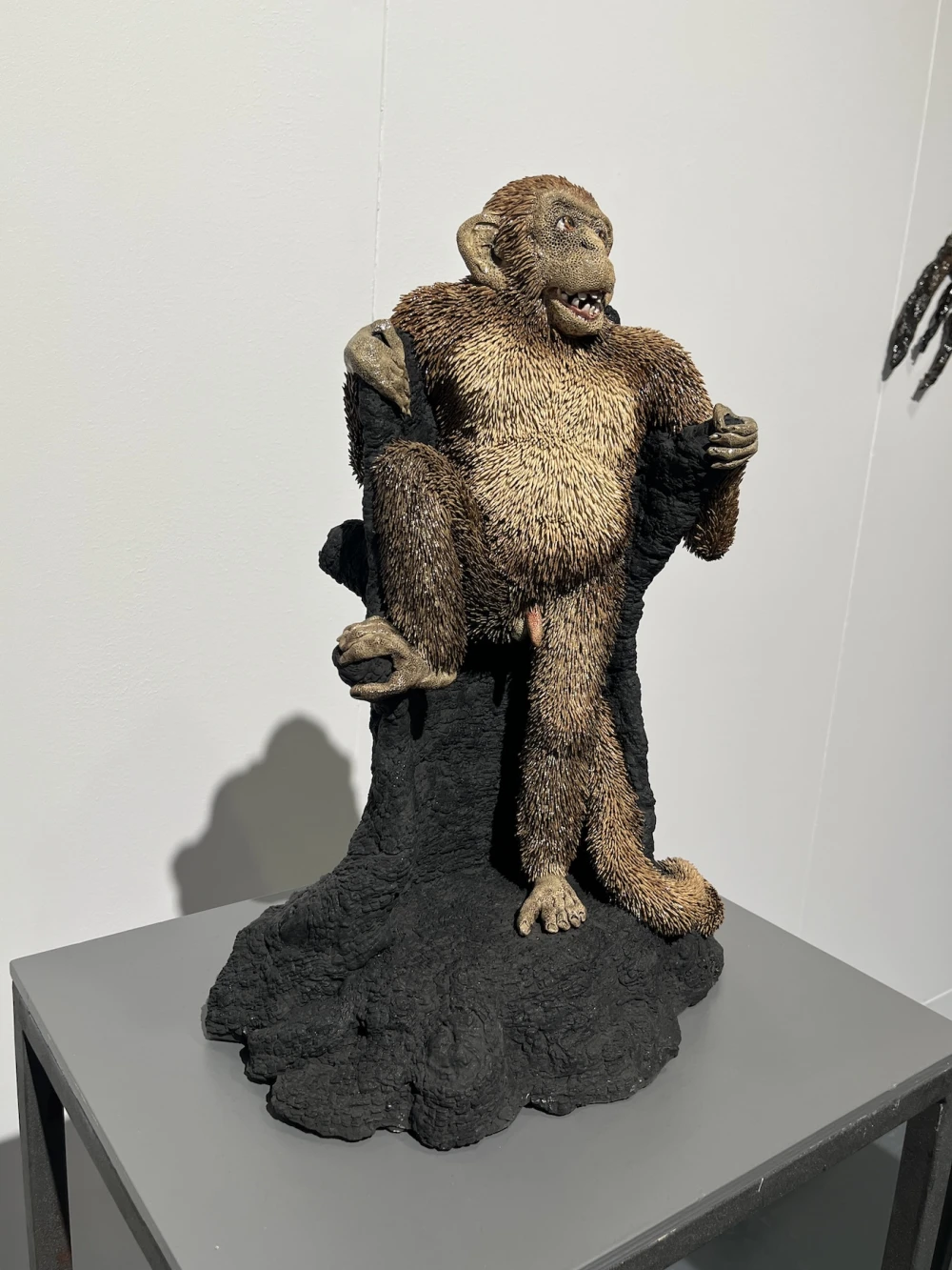 Ceramic Brussels 2026 фото