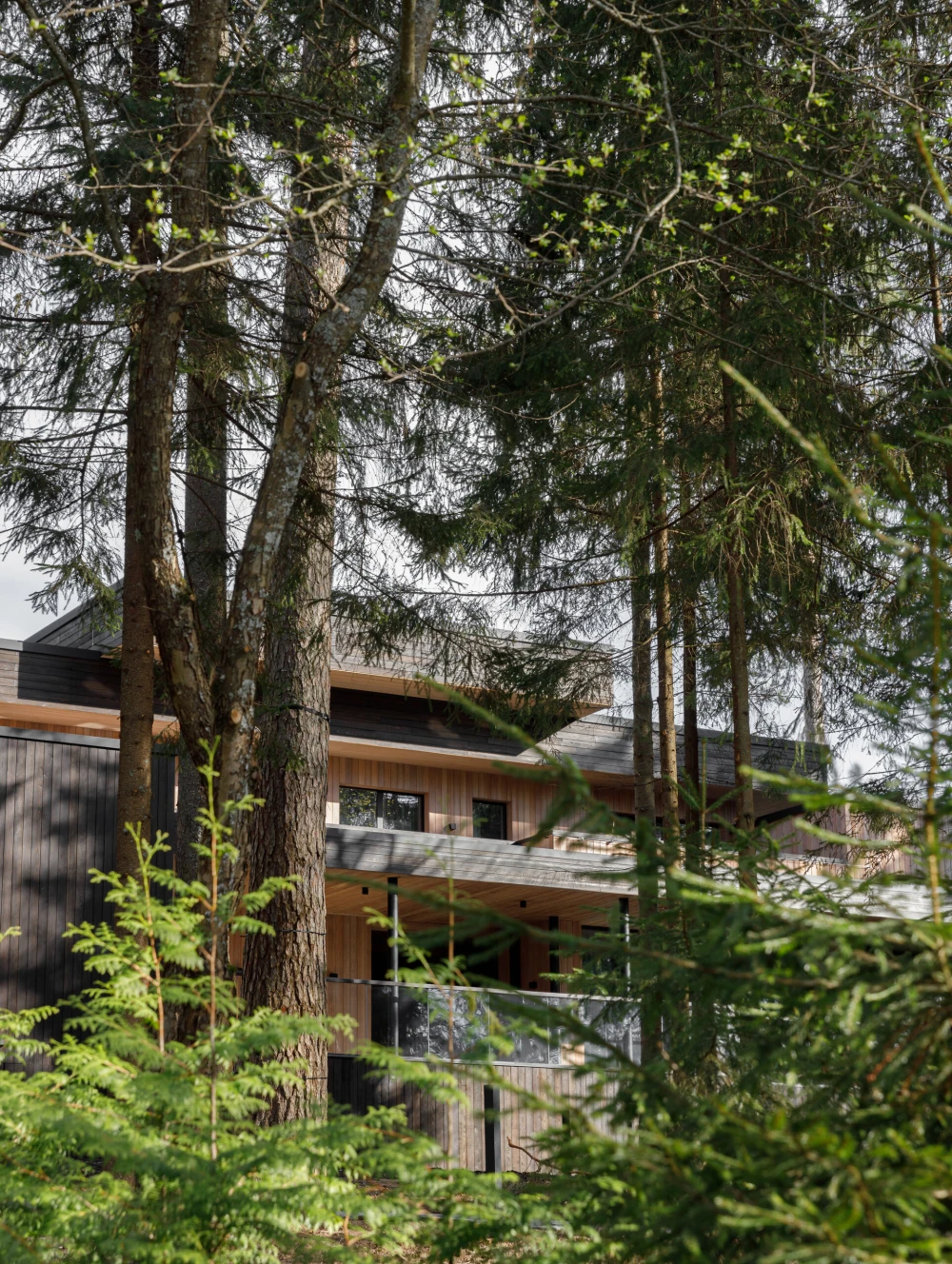 Загородный дом фото