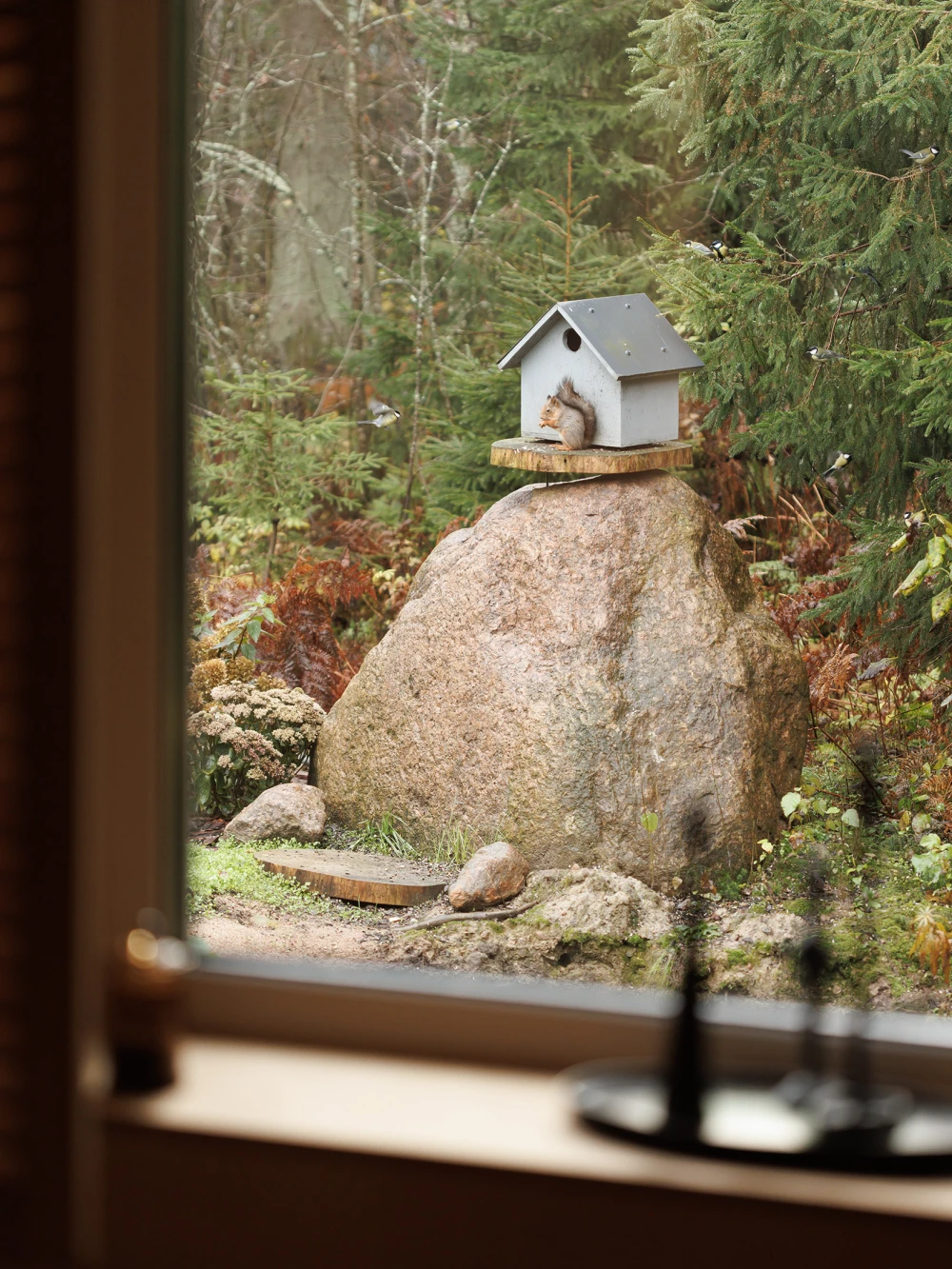 дом дизайнера фото