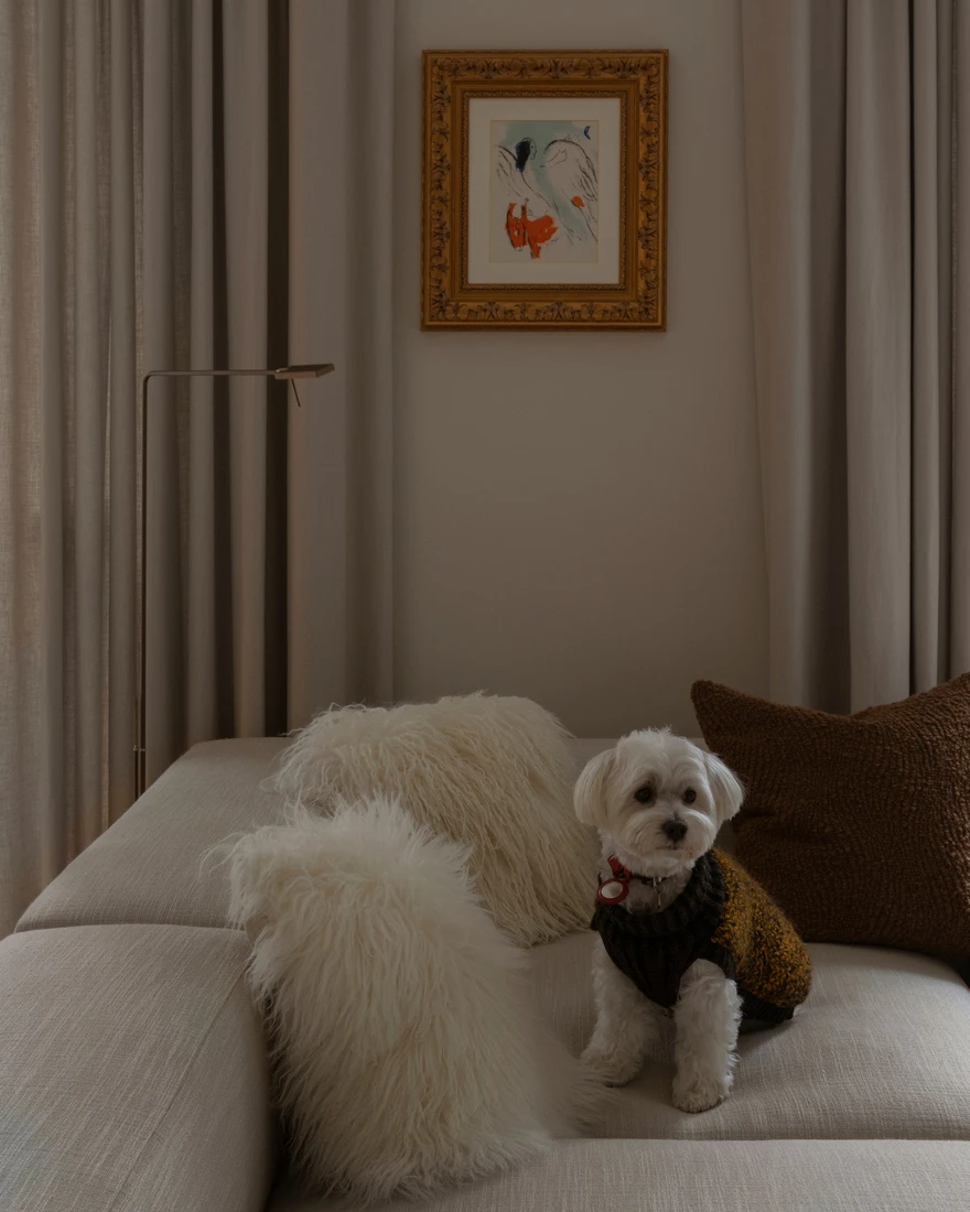 Дизайн квартиры фото