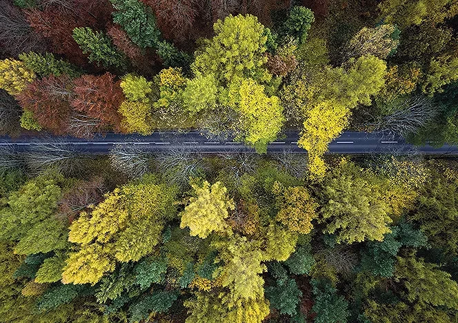 Каспер Ковальский: аэрофотография от архитектора