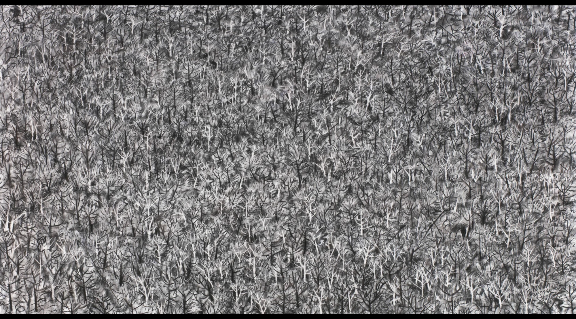 Хаос как ресурс: дизайнер Светлана Липкина о том, как неопределенность становится источником вдохновения