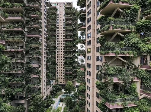 Porno Vetnam ayollar Dik sorish