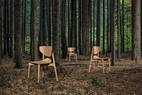 Стул Twig от Kononov architects, вдохновленный природой Беларуси