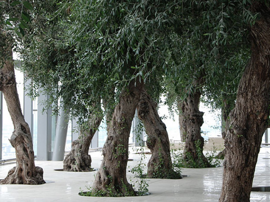 Архитектор Йен Симпсон: оливковый сад на 35-м этаже
