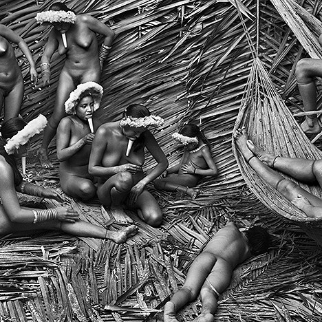 GENESIS Sebastiao Salgado. Фотографии Себастио Сальгадо в Москве