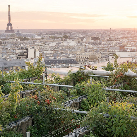 Тайный сад на крыше Galeries Lafayette