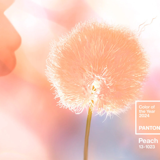 Институт Pantone объявил главный цвет 2024 года
