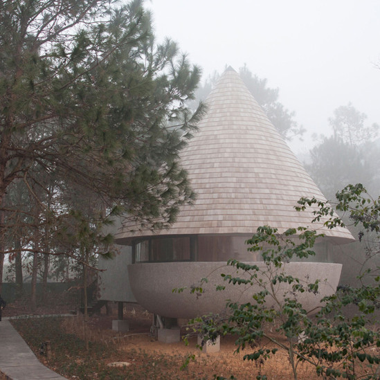Дом-гриб в сосновом лесу по проекту ZJJZ Architecture Practice