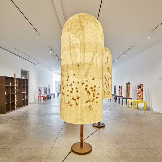 Живые объекты Андреа Бранци в галерее Friedman Benda