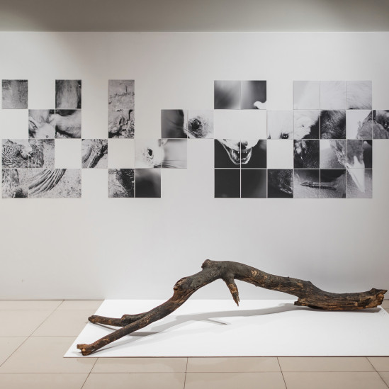 Премия и ярмарка SCAN: разговор с директором арт-проекта Лилианой Маррэ