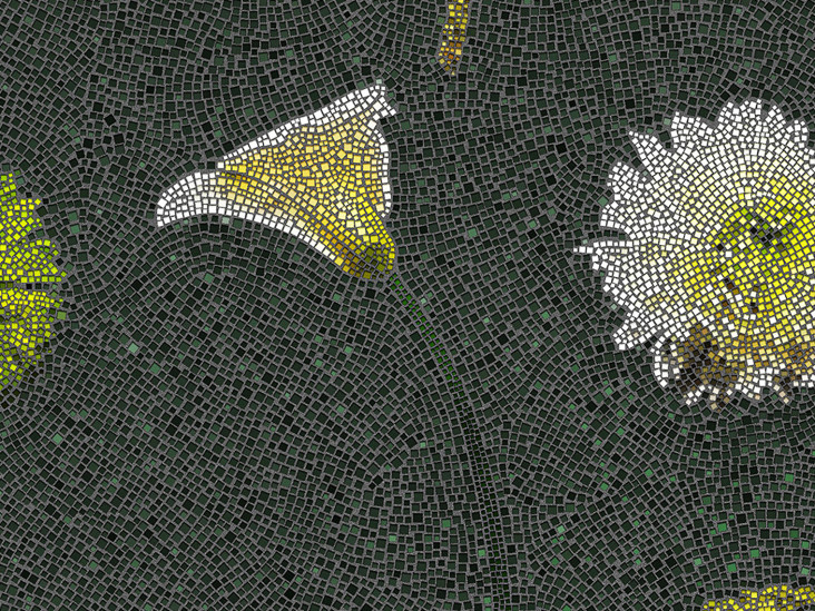 Цветочная мозаика флориста Дилана Триппа