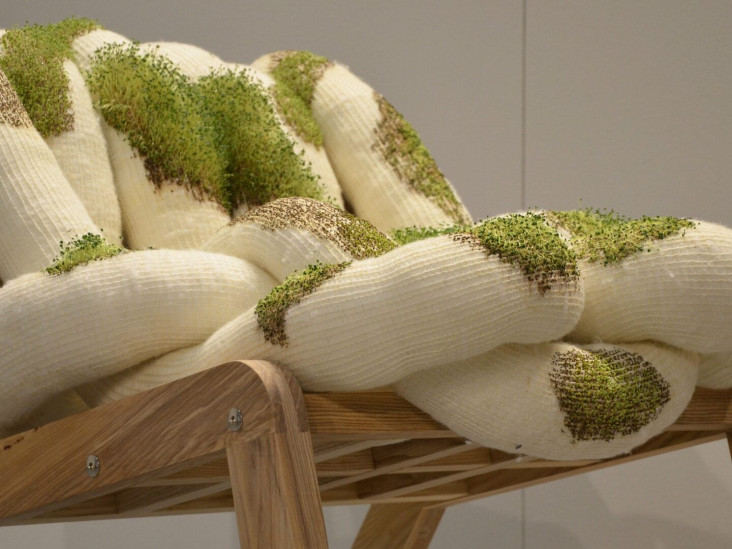 Экологический дизайн: кресло-грядка для семян чиа