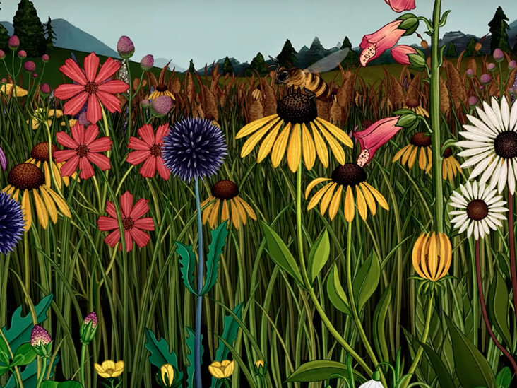 Story of Flowers: ботаника Кэти Скотт