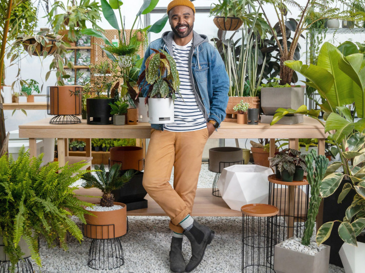 Биофилия: 300 комнатных растений в доме Хилтона Картера