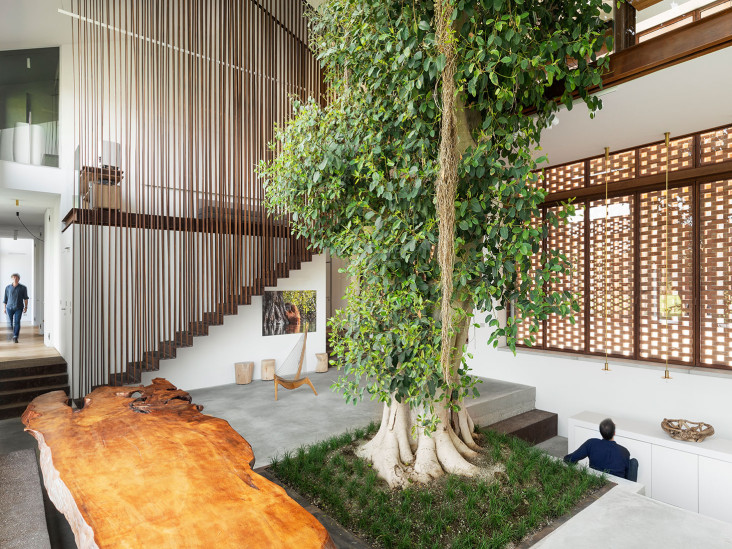Carlo Ratti Associati: экологичный дом, построенный вокруг дерева