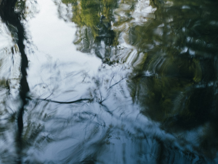 «Контур» и «Контур.Фото»: хайлайты нижегородской ярмарки графики