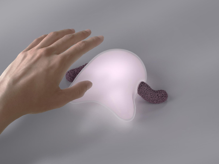 Гаджет-компаньон TruTru, реагирующий на прикосновение