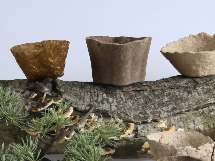 Биоразлагаемые горшки из органических отходов