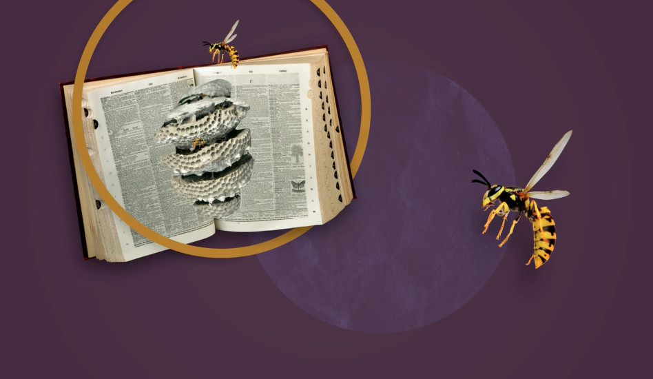 «Ожившие полотна» на фасаде в центре Москвы