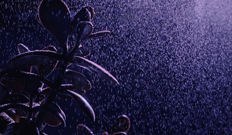 Цвет года 2025 от LOYMINA Group