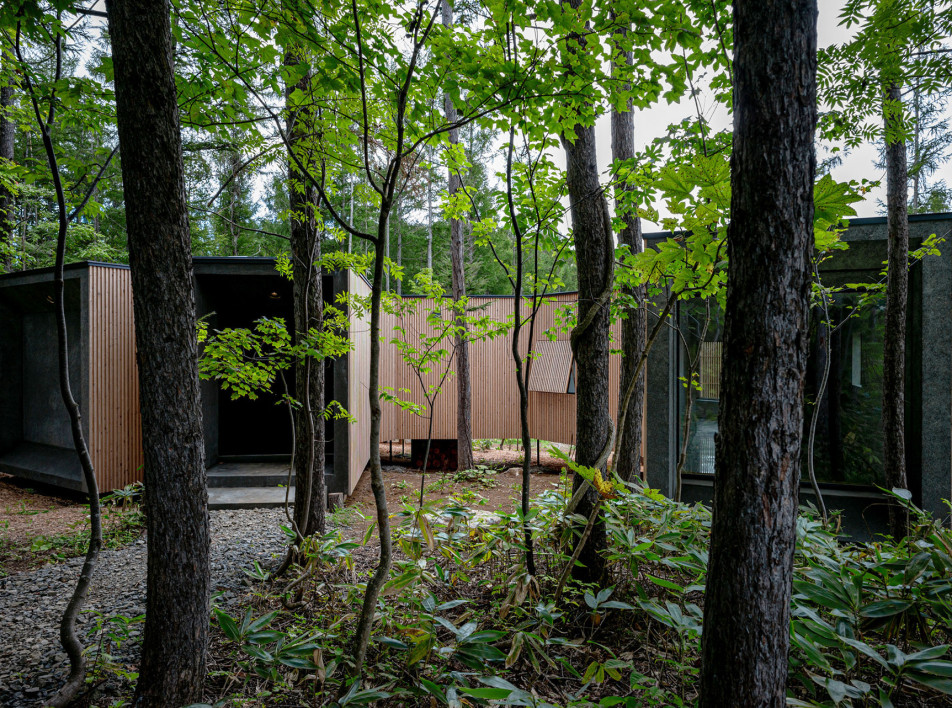 Florian Busсh Architects: дом в лесах Хоккайдо