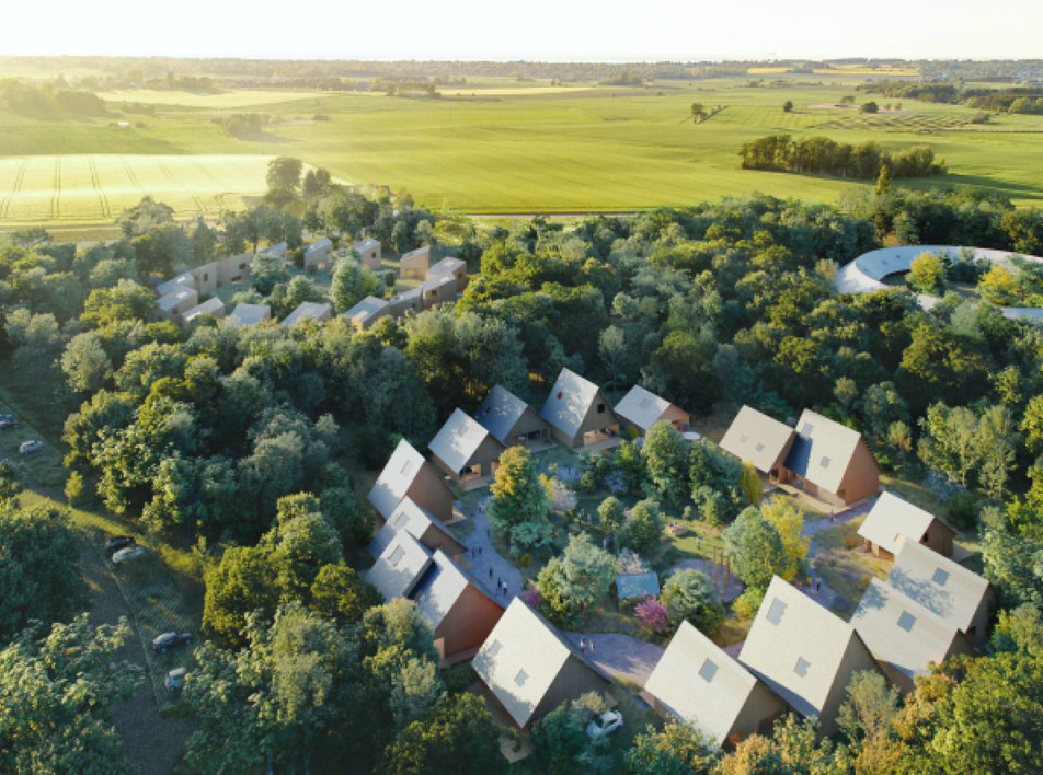 Биеннале 2021: датский проект лесной жизни