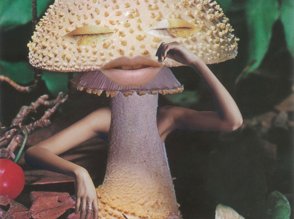 Будущее грибной культуры на выставке в Лондоне