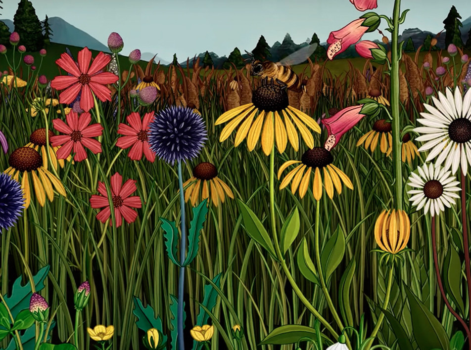 Story of Flowers: ботаника Кэти Скотт