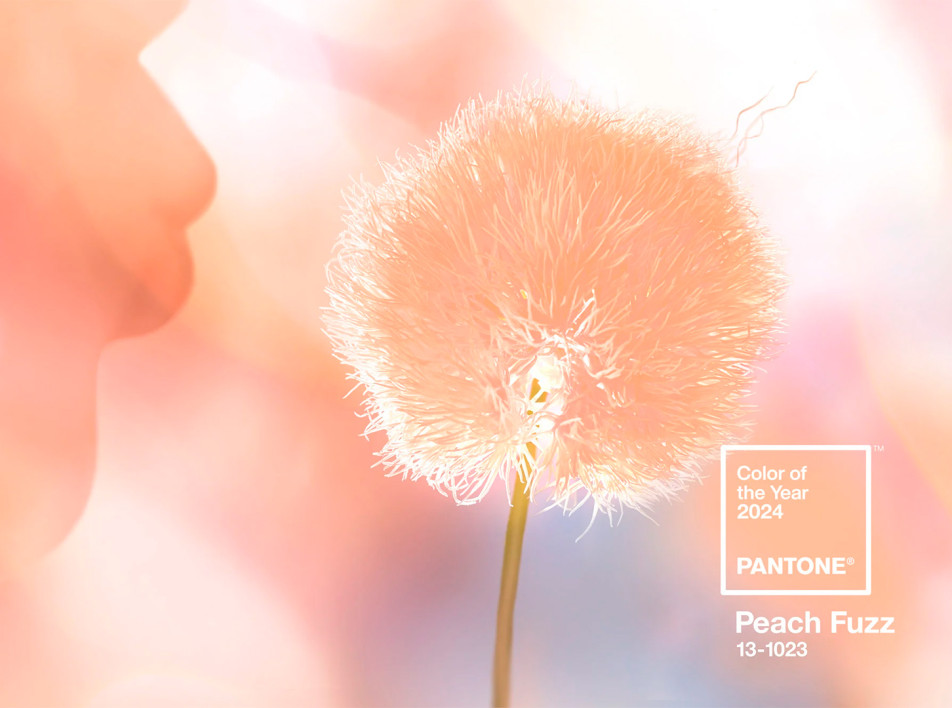 Институт Pantone объявил главный цвет 2024 года