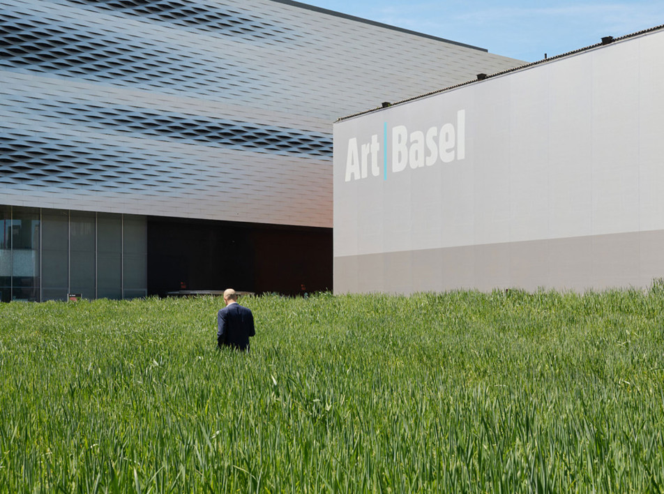 Art Basel 2024: поле пшеницы и подсолнухи за 20 миллионов