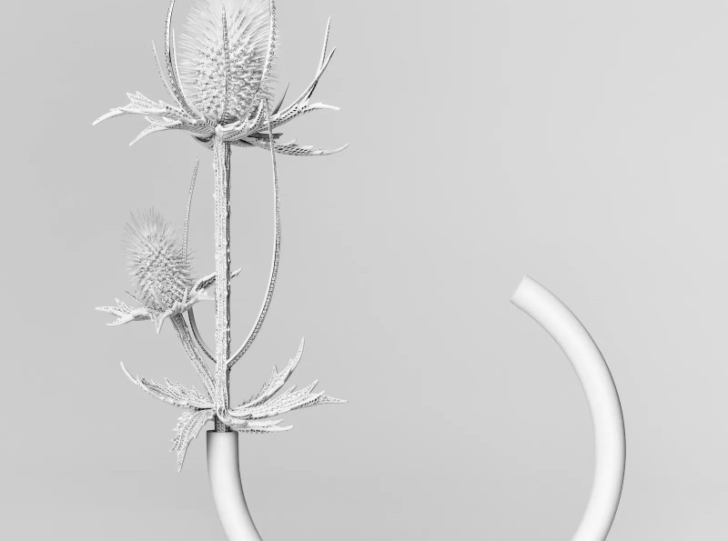 Boucheron Carte Blanche Impermanence: ювелирная коллекция, вдохновленная искусством икебаны