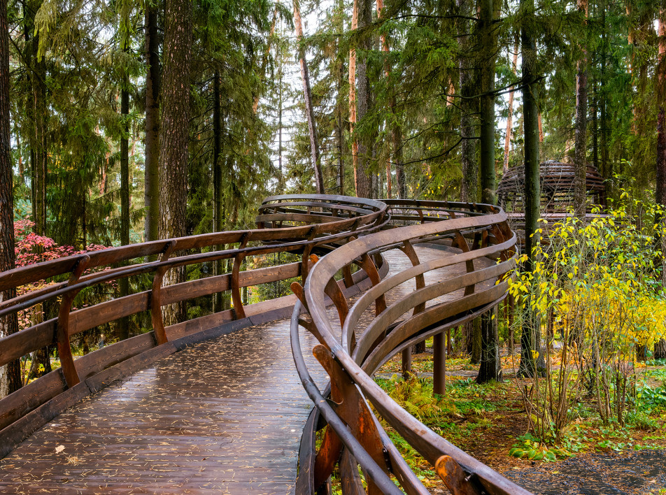 Экотропа в лесу как архитектурное высказывание: проект «Бюро Земля»