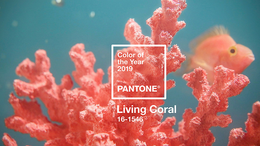 Цвет 2019 года по версии Pantone