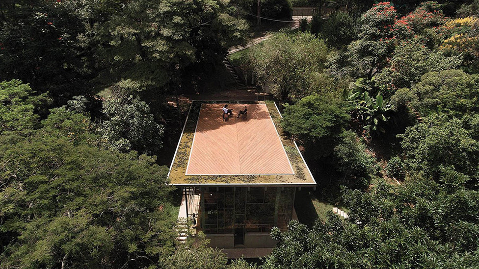 Дом-библиотека в бразильском лесу