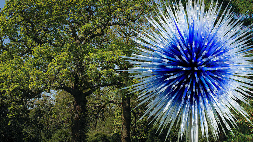 Дейл Чихули: размышления о природе в лондонском саду