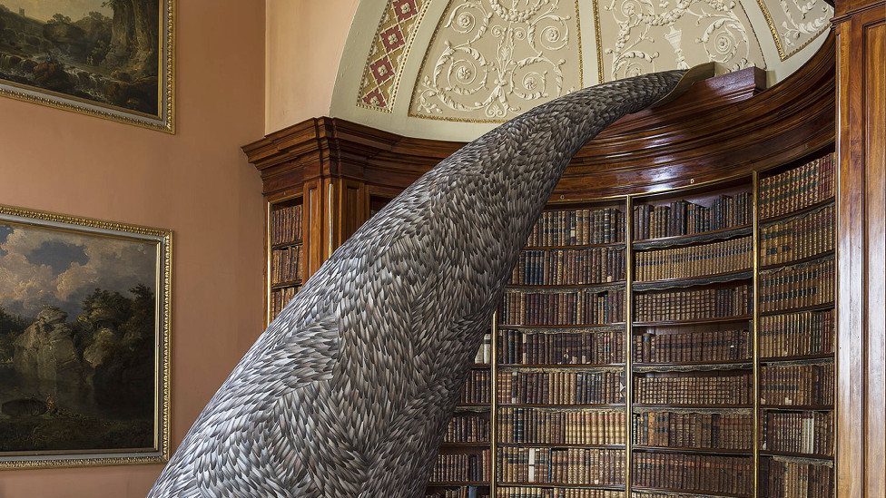 Кейт МакГуайр: скульптуры из голубиных перьев
