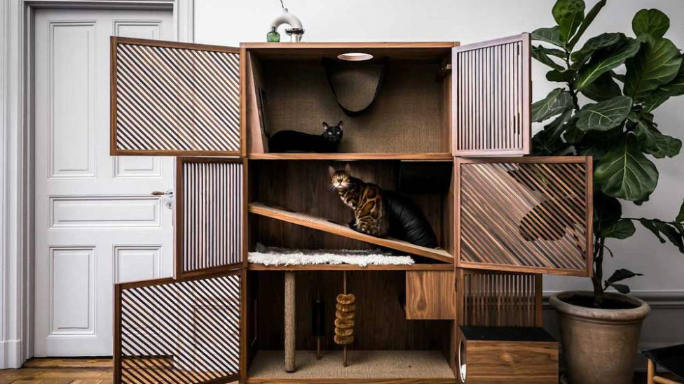 Шкаф как лучшая мебель для кошек