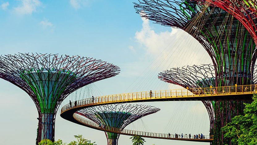 Cемь дней для дизайнеров в Сингапуре