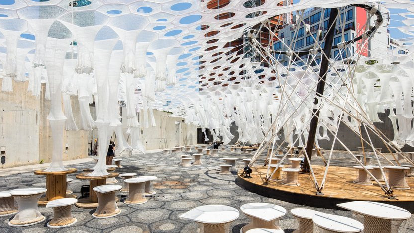 Дженни Сабин: экологичный science-art в MoMa