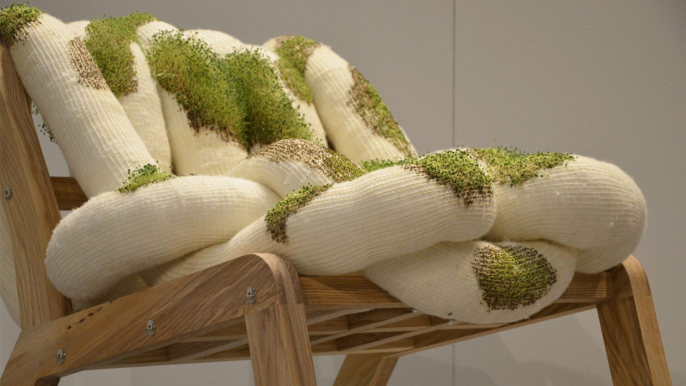 Экологический дизайн: кресло-грядка для семян чиа