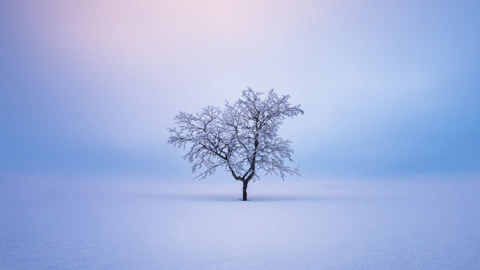 Микко Лагерстедт: фотографии снежной Финляндии