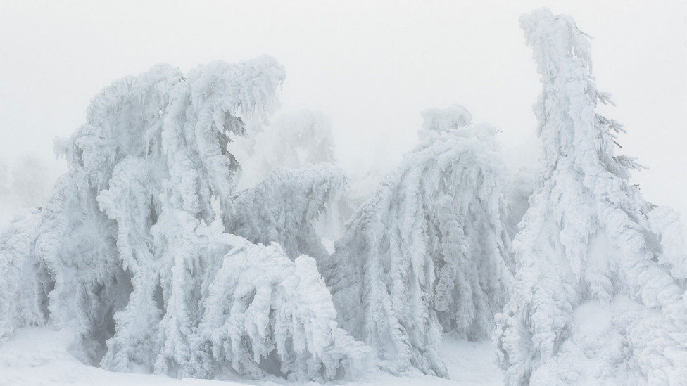 Горные снега на фотографиях Яна Эрика Вайдера