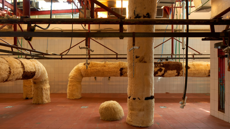 Cave Bureau: музей на скотобойне в Шардже