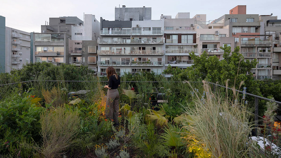 Ана Смад и Daniel Zelcer Studio: квартира на крыше в Буэнос-Айресе